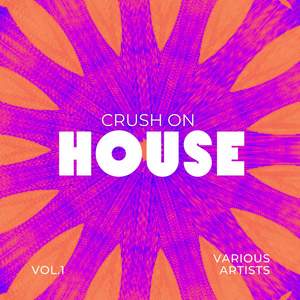 Crush On House, Vol. 1 (Explicit)