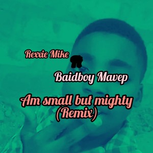 Am small but mighty (Remix)