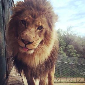 paraplegic (feat. sixhunnedk) (Explicit)