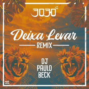 Deixa Levar (Remix)