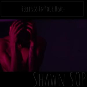 Feelings In Your Head (Explicit)