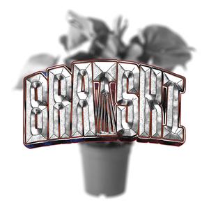 PottePlante - 08/09/24, 21:57.wav (Explicit)