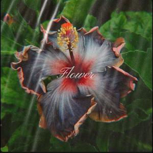 Flower (Explicit)