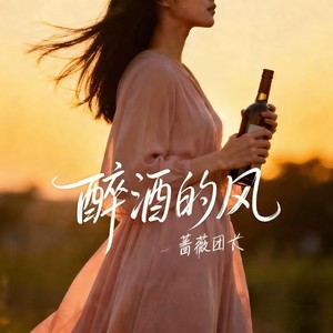 醉酒的风