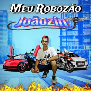 Meu Robozão