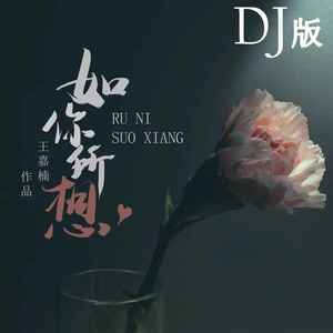如你所想 (DJ版伴奏)