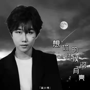 想你的时候问月亮 (舞曲版)