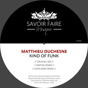 Kind Of Funk (Dave James Voices In My Mind Remix)