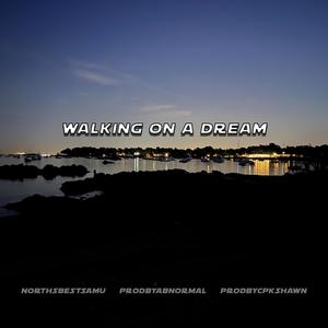 Walking on a Dream, Pt. 2 (feat. ProdByAbnormal & prodbycpkshawn)