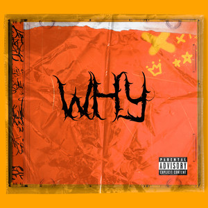 WHY (Explicit)