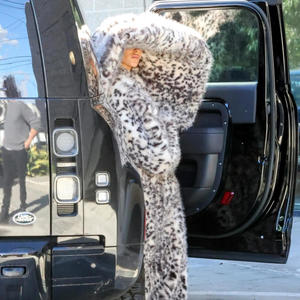 COAT I WOULD BUY (Pitched Up) (Explicit)