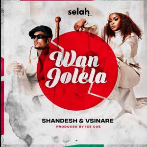Shandesh - Wanjolela (feat. Vsinare) (Radio Edit)