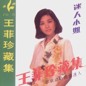 十三妹 - 王菲封面