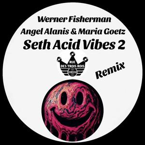 Seth Acid Vibes 2 (Remix)
