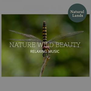 Nature Wild Beauty - Relaxing Music