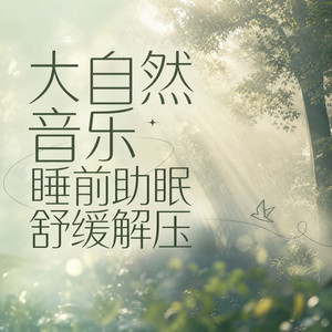 枕着溪水入眠 (DJ长音频) - 七月之秋封面