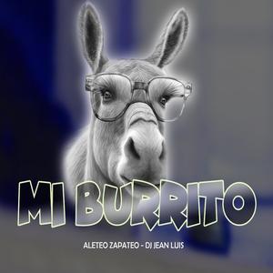 Mi Burrito (Aleteo Zapateo)