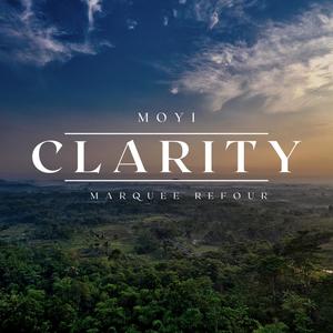 Clarity (feat. Tony Marquee)