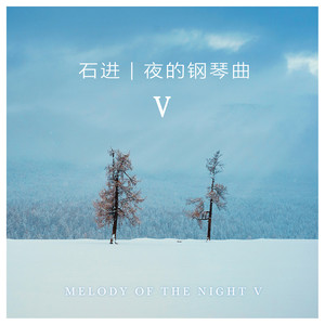 夜的钢琴曲V