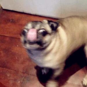 B A D A N D B O U J E E- [ MASHUP ]