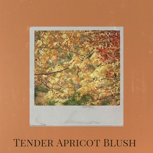 Snow Flakes - Underscore