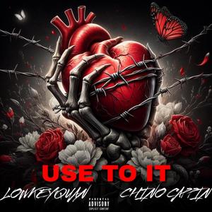 Use To It (feat. Chino Cappin) [Radio Edit] [Explicit]