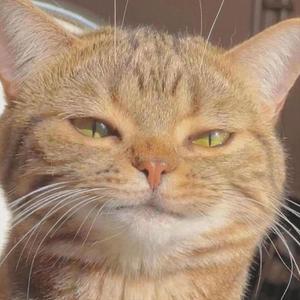 #NOTASTONER (Explicit)