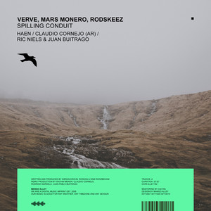 Spilling Conduit (Ric Niels & Juan Buitrago Remix)