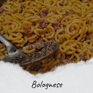 Bolognese