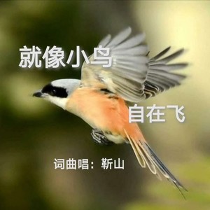 就像小鸟自在飞