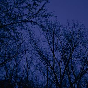 sure as hell won't (Explicit)