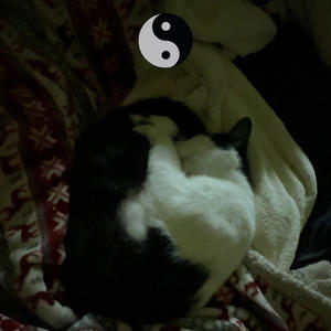 WHATTIMEWEON? (Explicit)