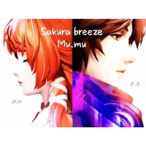 sakura breeze