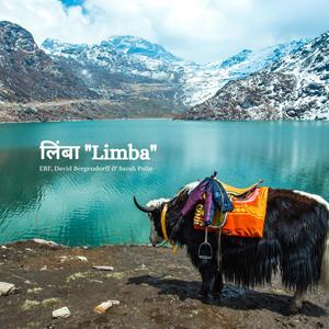 लिंबा 