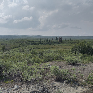 Harmonic Voltage (Remix)