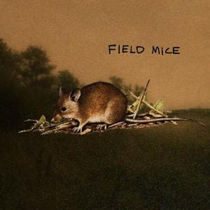 field mice