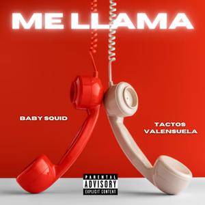 ME LLAMA (Explicit)