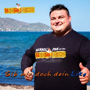 Gib mir doch dein Like (Radio V2)