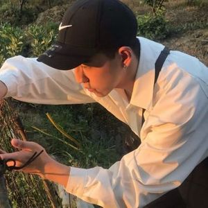 沉默是金 (Inst.)