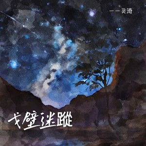 戈壁迷踪