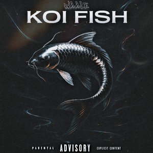 koi fish (Explicit)