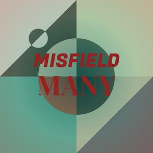 Misfield Many
