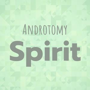 Androtomy Spirit