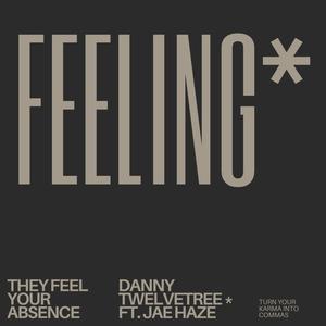 Feeling (feat. Jae Haze) [Explicit]