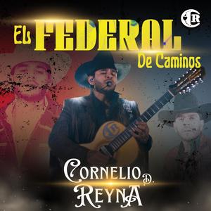 El Federal De Caminos