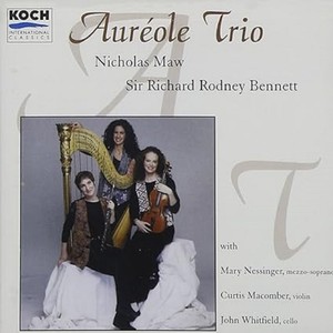 Night Thoughts for solo flute