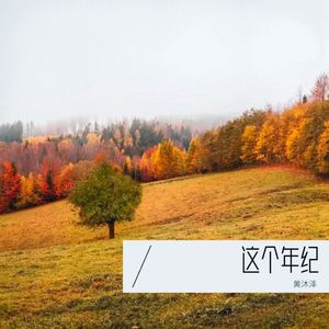 这个年纪