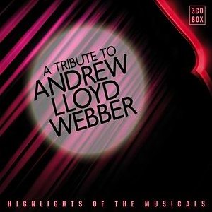 Don't Cry For Me Argentina - Sound-A-Like Cover