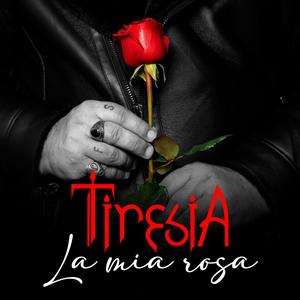 La mia rosa