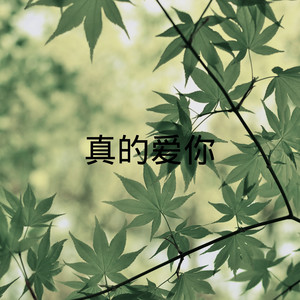 执迷不悔 (DJ版)